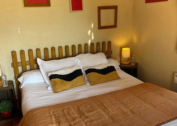 Charmantes Avec Piscine Près De L'abbaye De - Fr-1-410-403 * Solesmes (Sarthe)